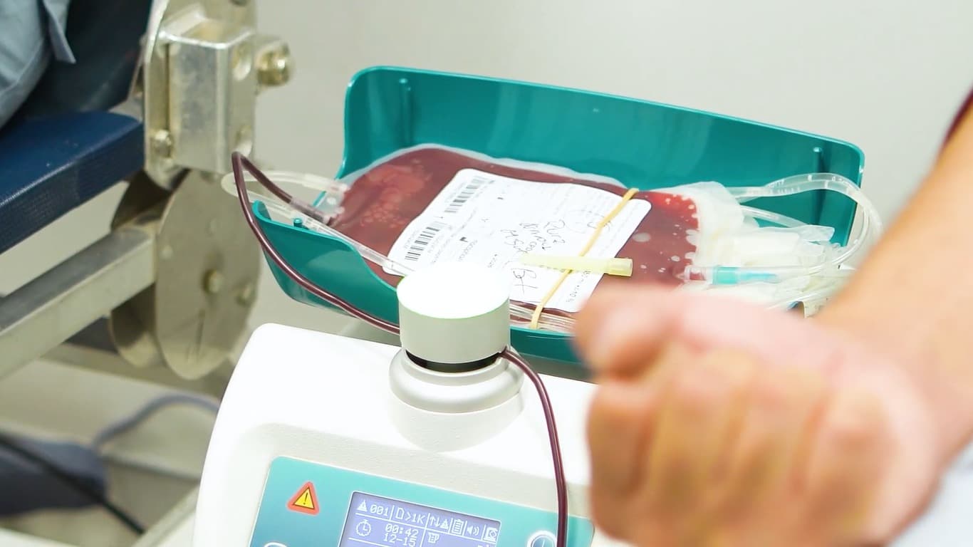 Bolsa de sangre recién colectada sobre una báscula, con el tubo conectado al brazo de la donante.